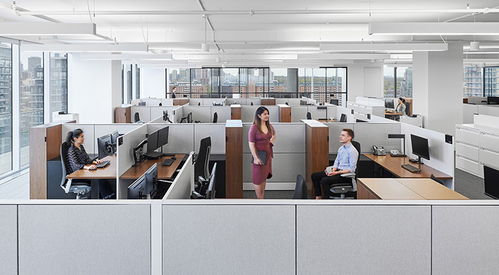 時(shí)尚辦公網(wǎng) 辦公設(shè)計(jì) 設(shè)計(jì)欣賞 優(yōu)雅高級(jí)灰 房地產(chǎn)開(kāi)發(fā)商first gulf多倫多辦公設(shè)計(jì)欣賞